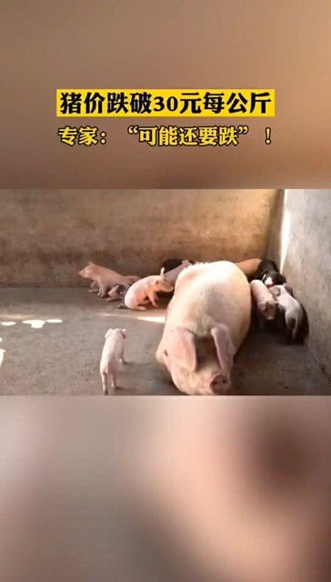 港澳新闻 第9页