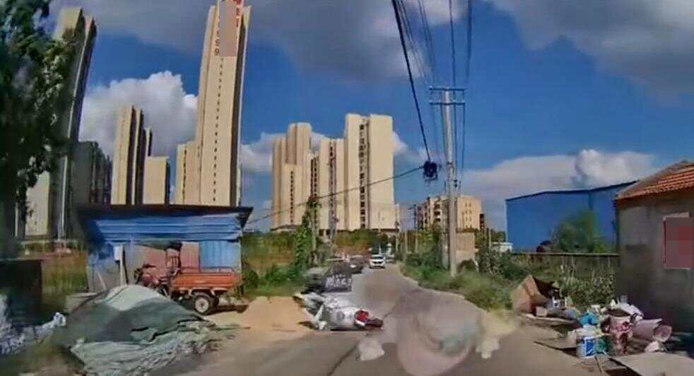 娱乐生活 第10页